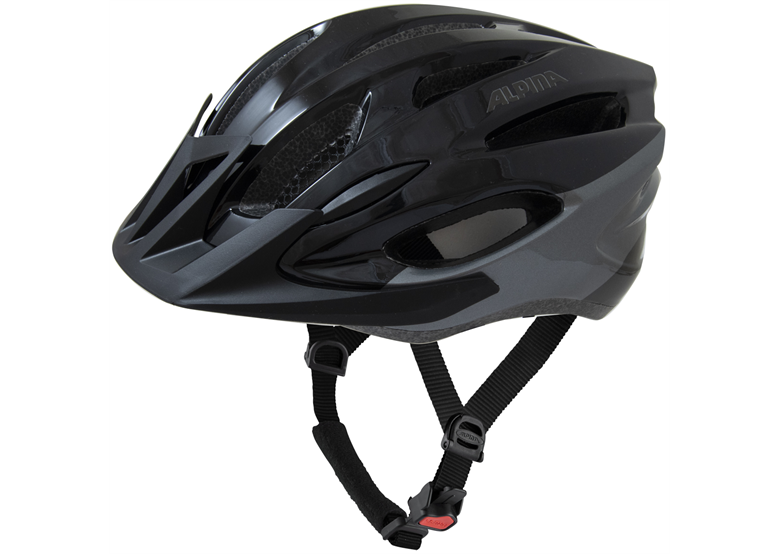 Kask rowerowy ALPINA MTB 17