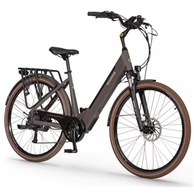 Rower elektryczny ECOBIKE X-City