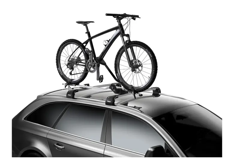 Thule expert 298 vs cheap proride 598