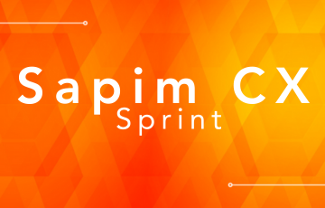 Sapim CX Sprint