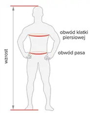 Rozmiar - Obwód klatki piersiowej, Obwód pasa