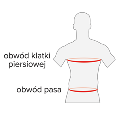 Rozmiar - Obwód klatki piersiowej, Obwód pasa