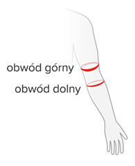 Rozmiar - Obwód górny, Obwód dolny