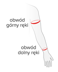 Rozmiar - Obwód górny, Obwód dolny